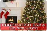 Как поставить новогоднюю елку по фен-шуй